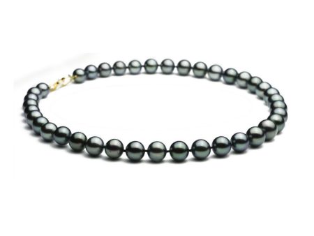 Blue-Green Black Pearl Strand For Cheap