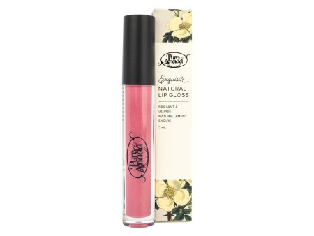 Pure Anada Exquisite Natural Lip Gloss (7ml) Online now