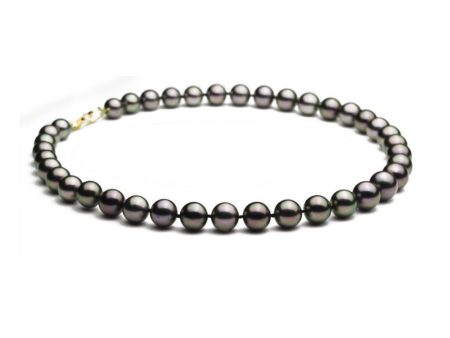 Peacock Black Pearl Strand Cheap