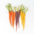 Certified Organic Rainbow Carrots - 2lb Bag Hot on Sale