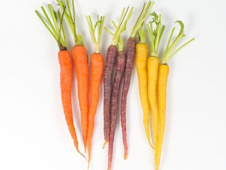 Certified Organic Rainbow Carrots - 2lb Bag Hot on Sale