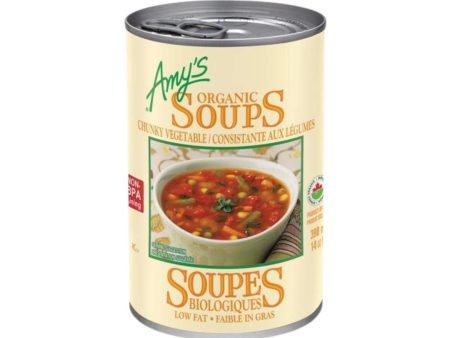 Amy s Kitchen Organic Chunky Vegetable Soup (398ml) For Discount