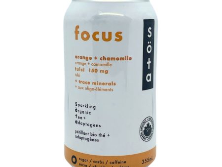 sota: Sparkling Tea - Focus (355ml) on Sale