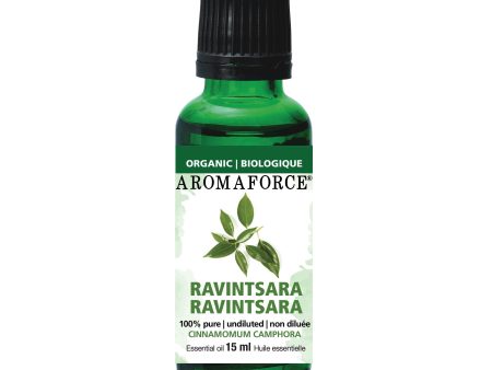 Aromaforce Essential Oil - Organic Ravintsara (15ml) For Discount