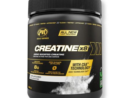 PVL Creatine X8 Amino Boosted Creatine (249g) Fashion