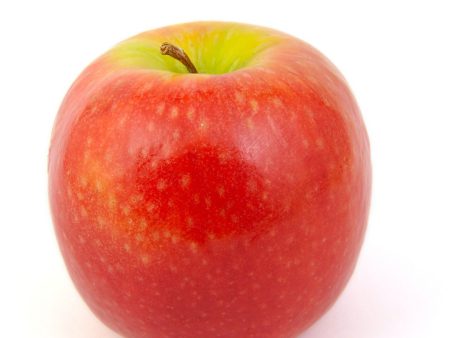 Certified Organic Pink Lady Apples (3lb Bag) Sale