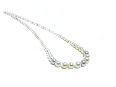 Graduated Multi-Color Akoya Pearl Strand Hot on Sale