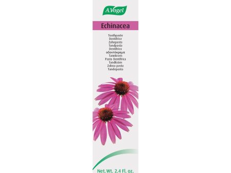 A. Vogel Echinacea Toothpaste (100g) For Discount