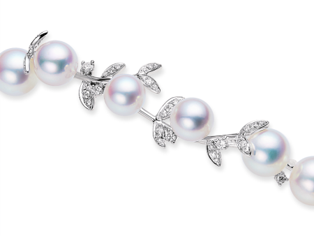 Eden Akoya Pearl Bracelet Online