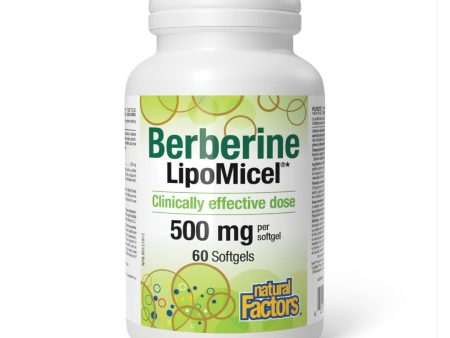 Natural Factors Lipomicel Berberine (60 Sgels) Hot on Sale