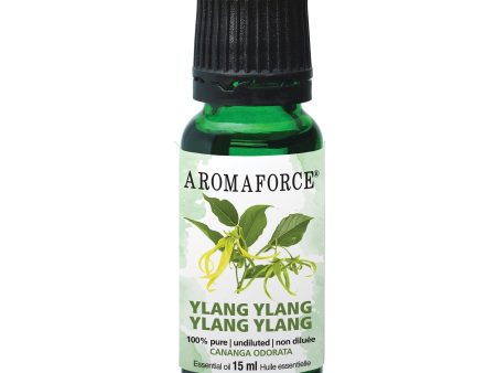 Aromaforce Essential Oil - Ylang Ylang (15ml) Online