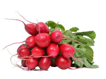 Certified Organic Red Radish (bunch) For Cheap