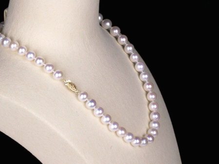 Freshwater Pearl Strand: Large Online Sale