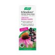 A. Vogel Echinaforce Hot Drink with Elderberry (100ml) Online now