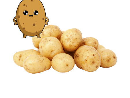 Certified Organic PUGLY Potatoes 5lbs. (2.27kg bag) Online Hot Sale