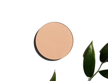 Pure Anada Glow Finishing Powder Translucent Fashion