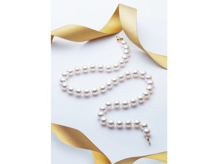 Akoya Pearl Strand: Large Online Hot Sale